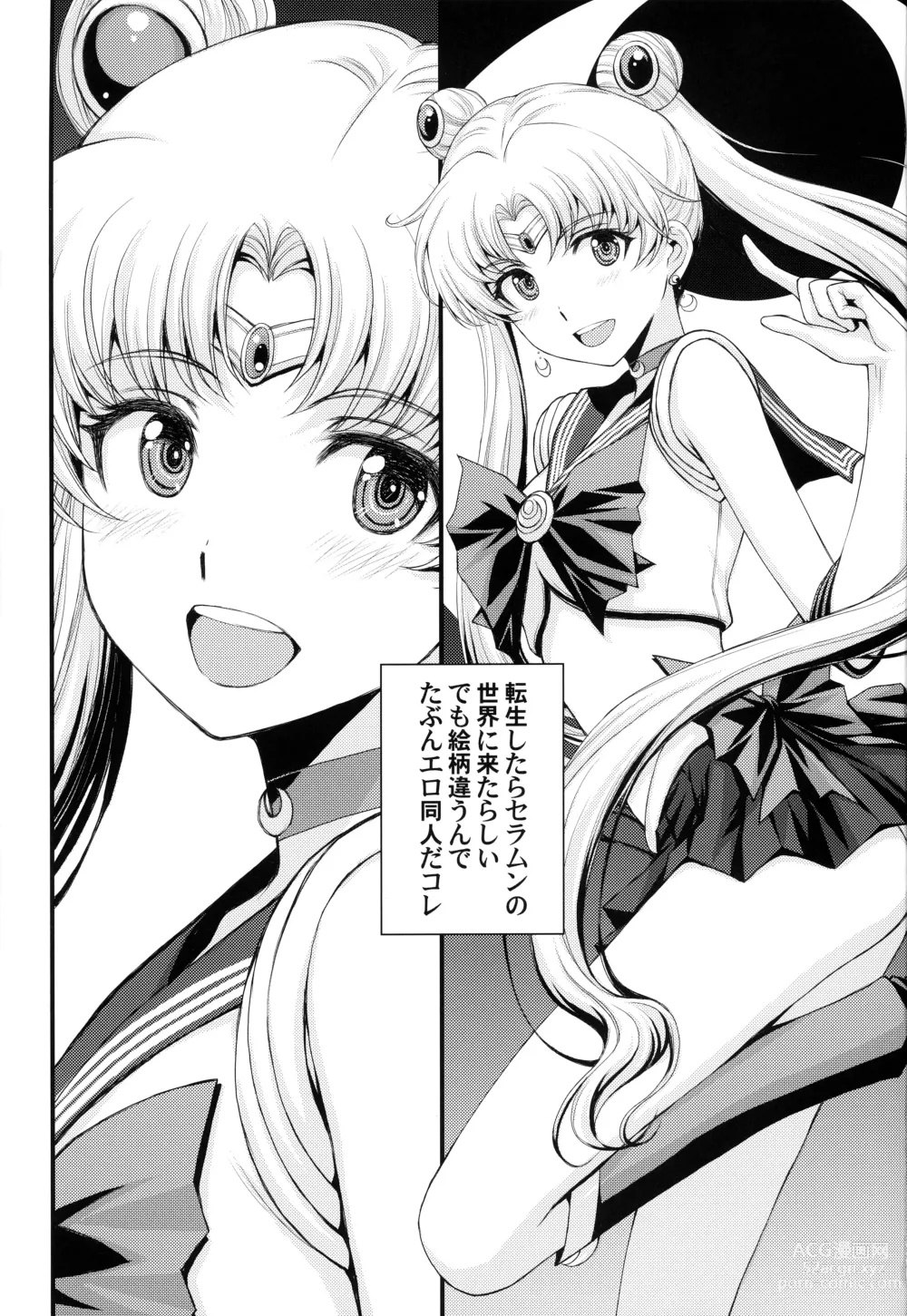 Page 2 of doujinshi Usagi no Junjou!? Chin Make Bishoujo Senshi!