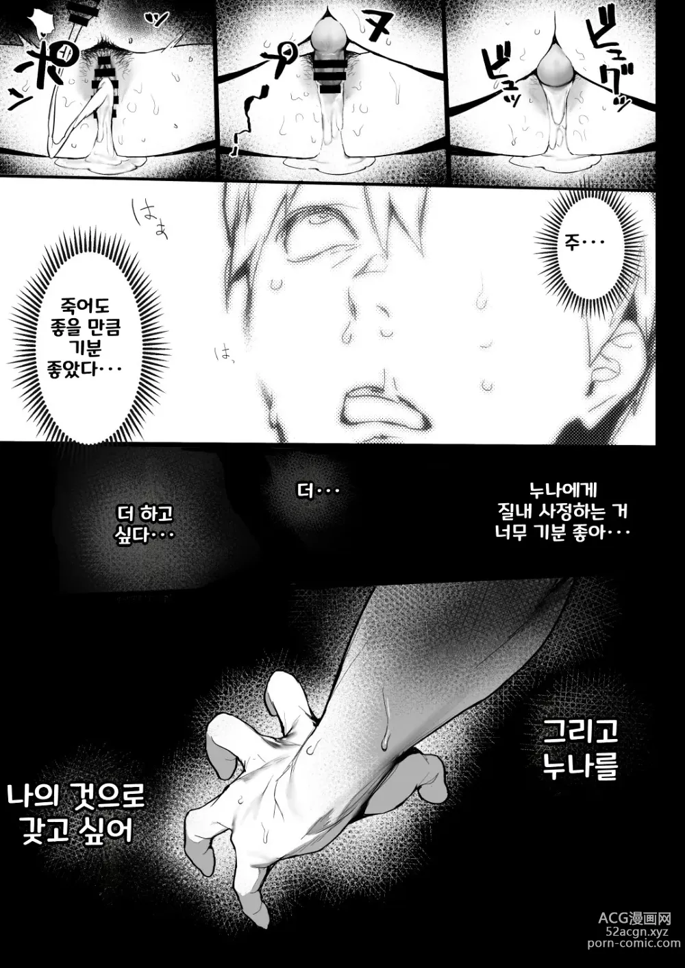 Page 22 of doujinshi 잘 자 누나