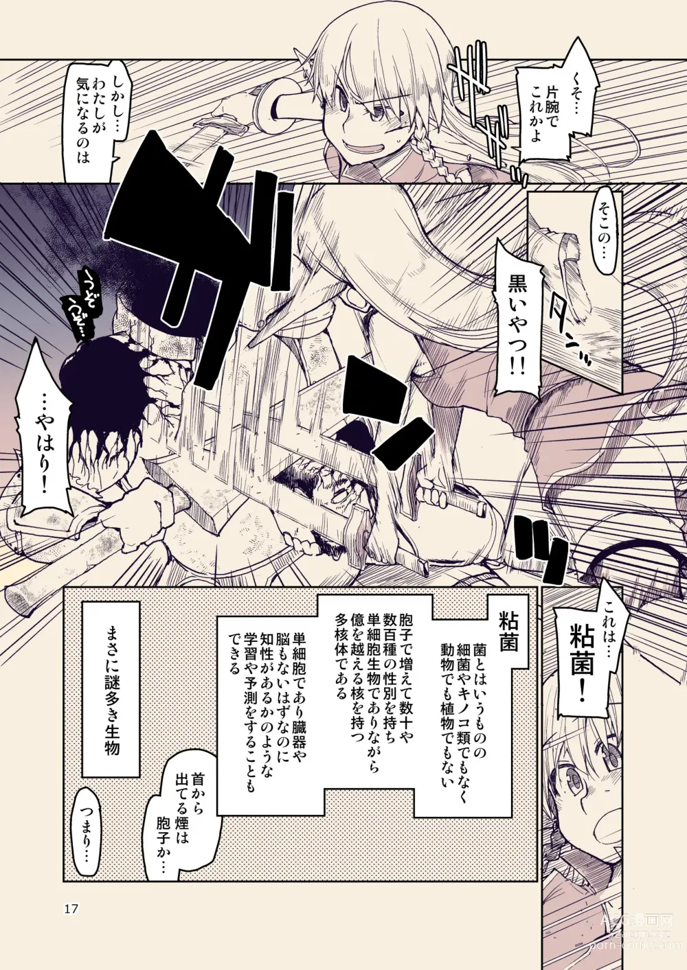 Page 18 of doujinshi Dosukebe Elf no Ishukan Nikki 10