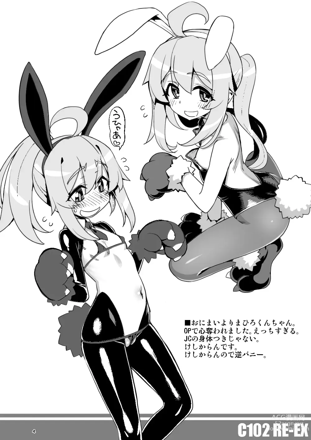 Page 4 of doujinshi RE-EX Chippai Bunny na Rakugaki Hon