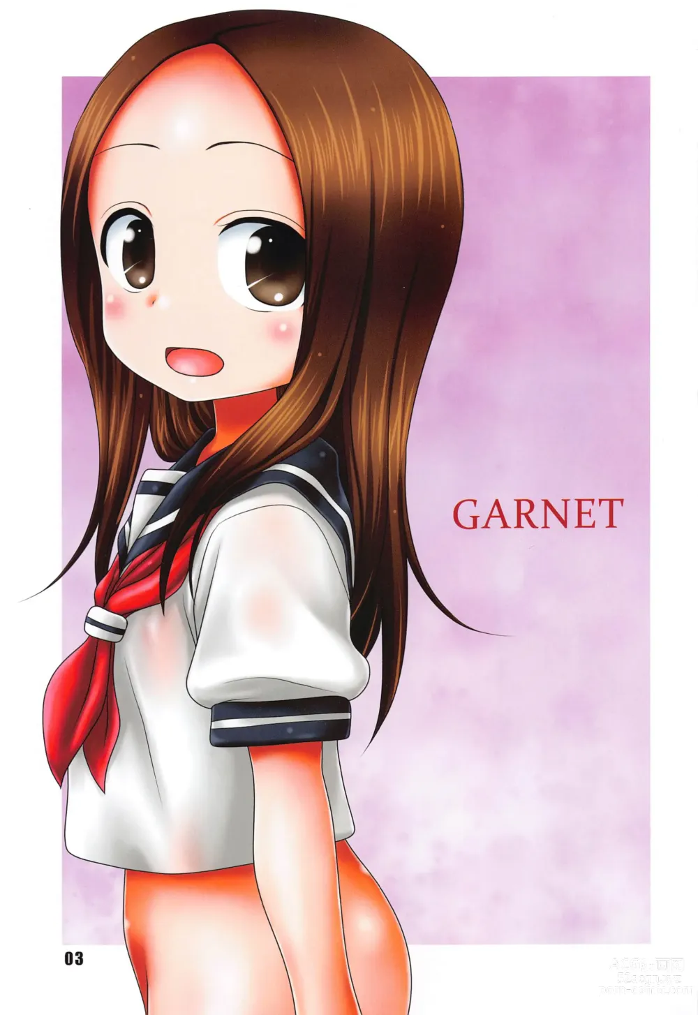 Page 2 of doujinshi GARNET color edition