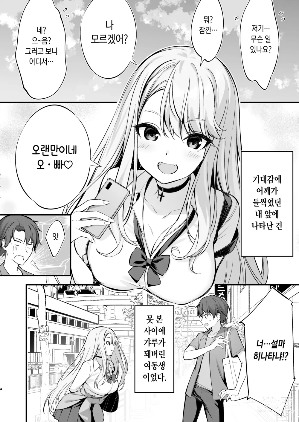 Page 4 of doujinshi SNS로 만나게 된 건 갸루가 된 여동생이었다