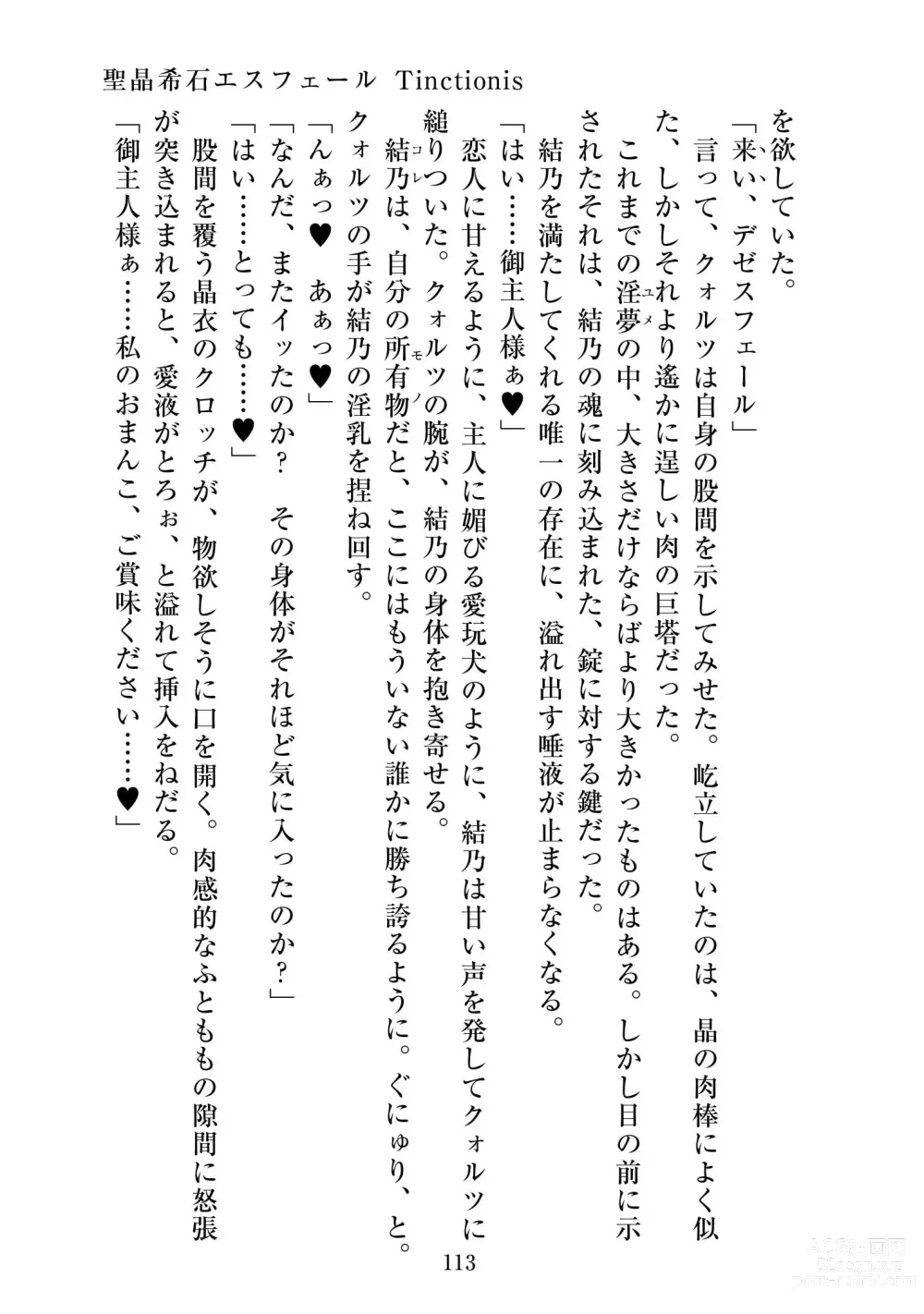 Page 114 of doujinshi Holy Crystal Esphére Tinctionis