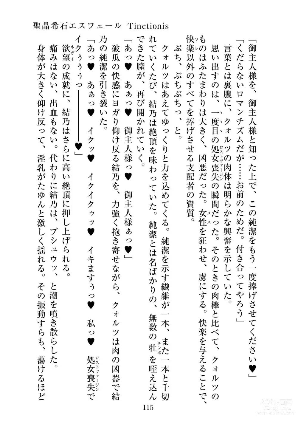 Page 116 of doujinshi Holy Crystal Esphére Tinctionis
