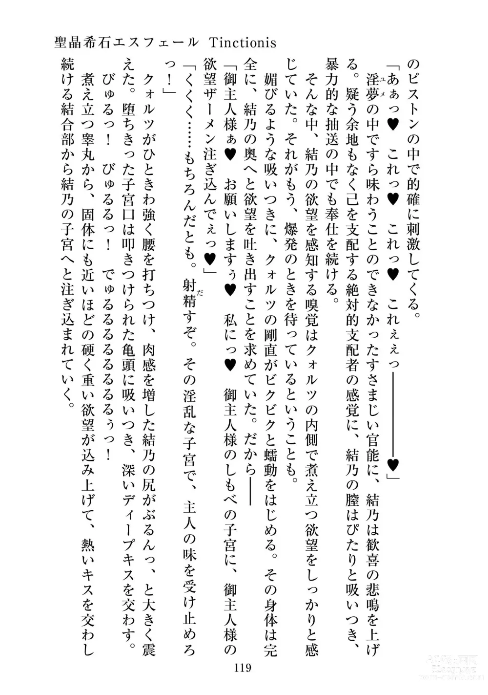 Page 120 of doujinshi Holy Crystal Esphére Tinctionis