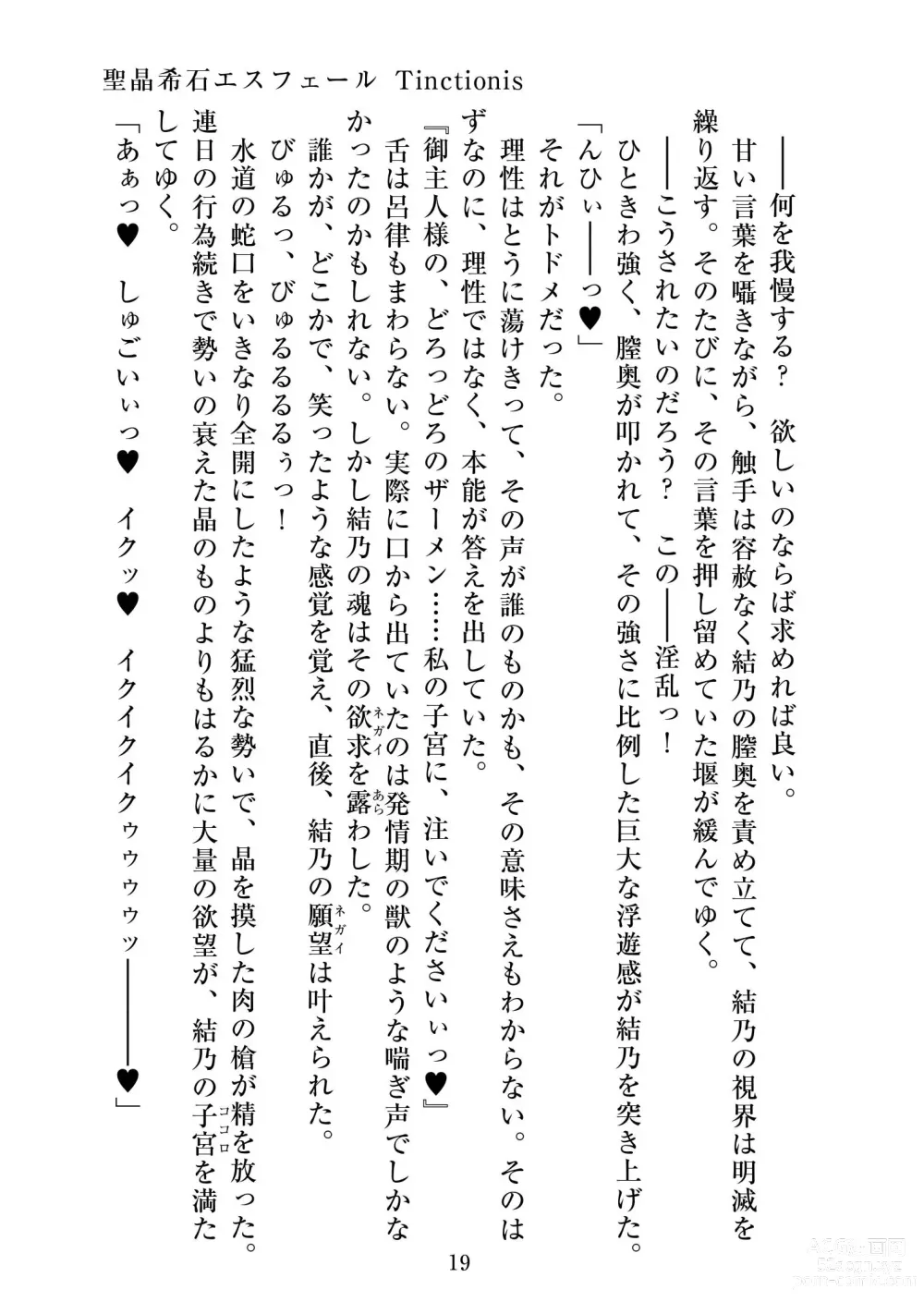 Page 20 of doujinshi Holy Crystal Esphére Tinctionis