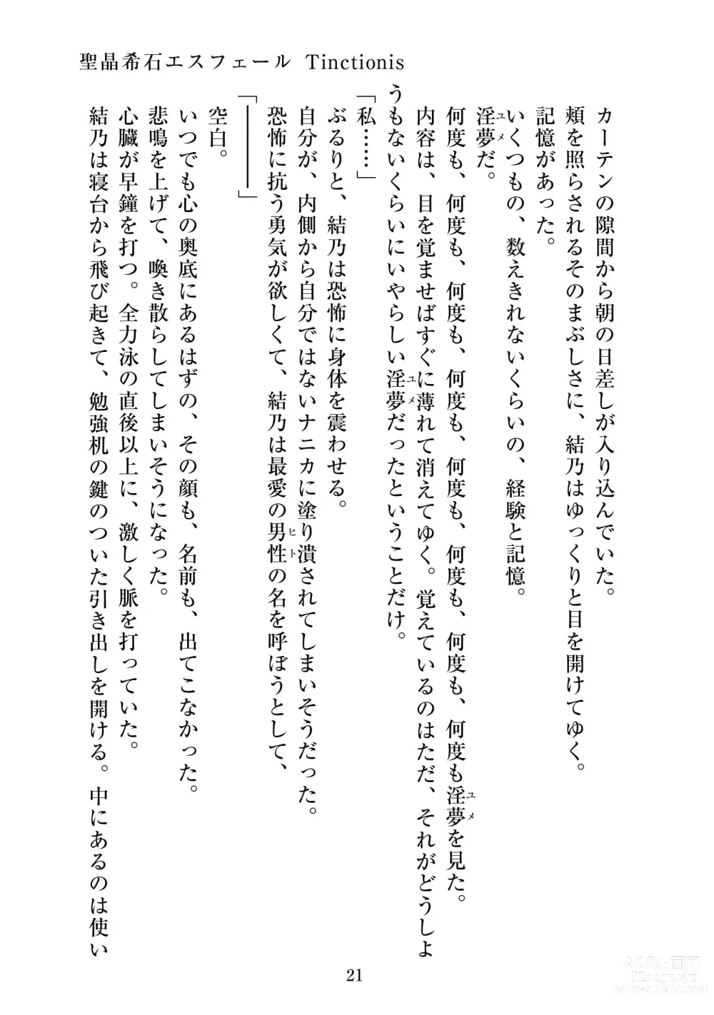 Page 22 of doujinshi Holy Crystal Esphére Tinctionis