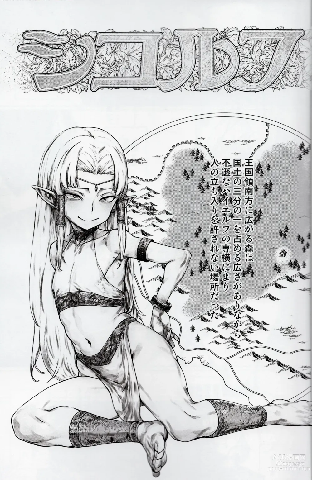 Page 2 of doujinshi Shikorufu junbi-gō