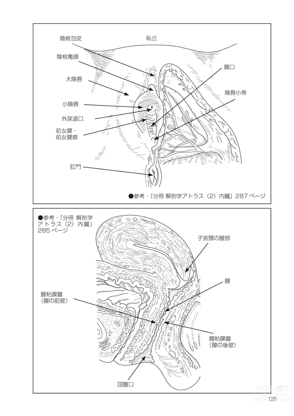 Page 120 of manga 大人のお医者さんごっこ 検査・測定編