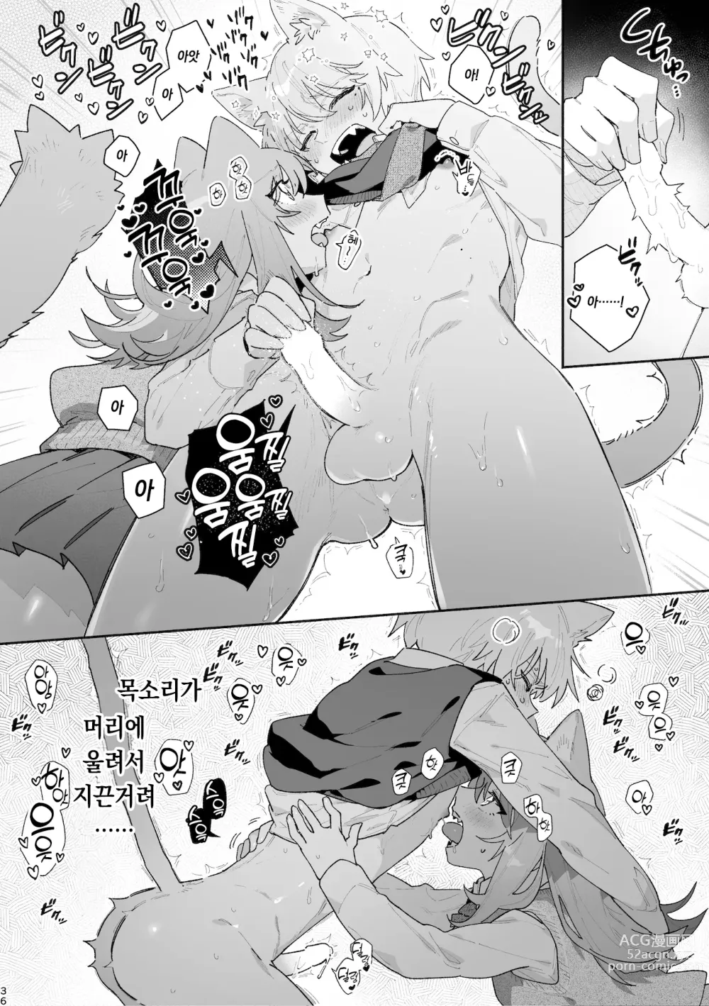 Page 37 of doujinshi ♂이 수비. 고양이 쨩 × 고양이 군