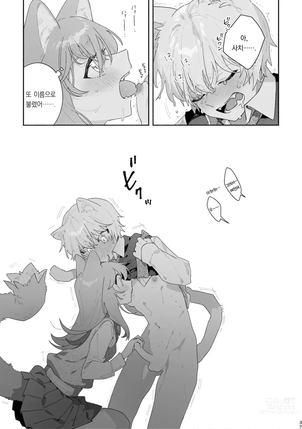 Page 38 of doujinshi ♂이 수비. 고양이 쨩 × 고양이 군