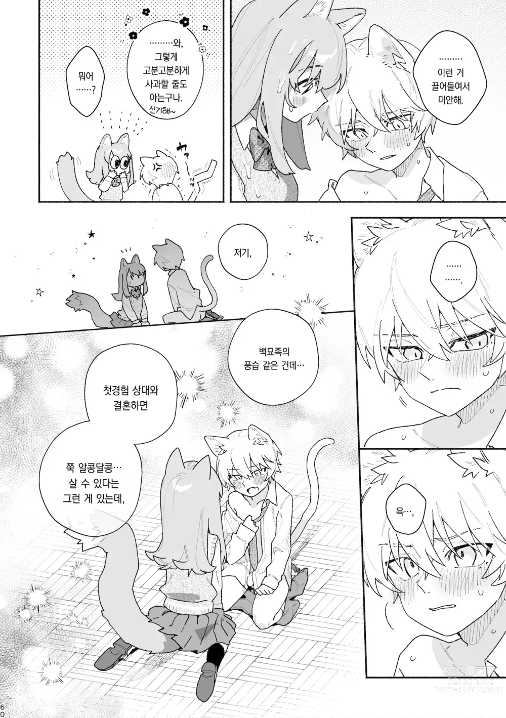 Page 61 of doujinshi ♂이 수비. 고양이 쨩 × 고양이 군