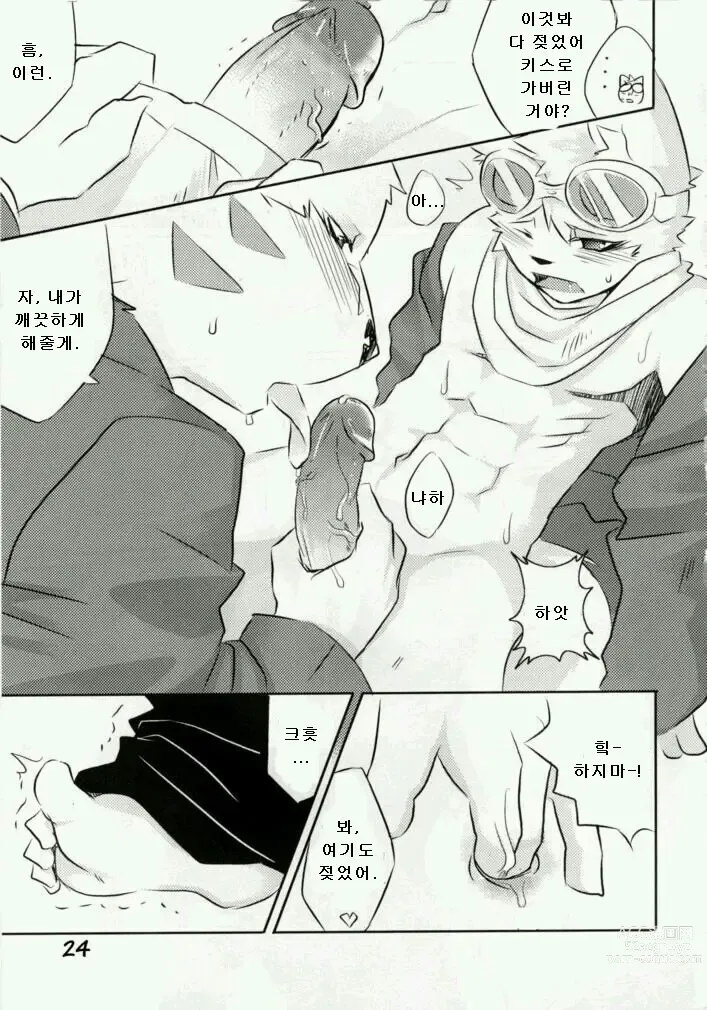 Page 22 of doujinshi Daisukirai (decensored)