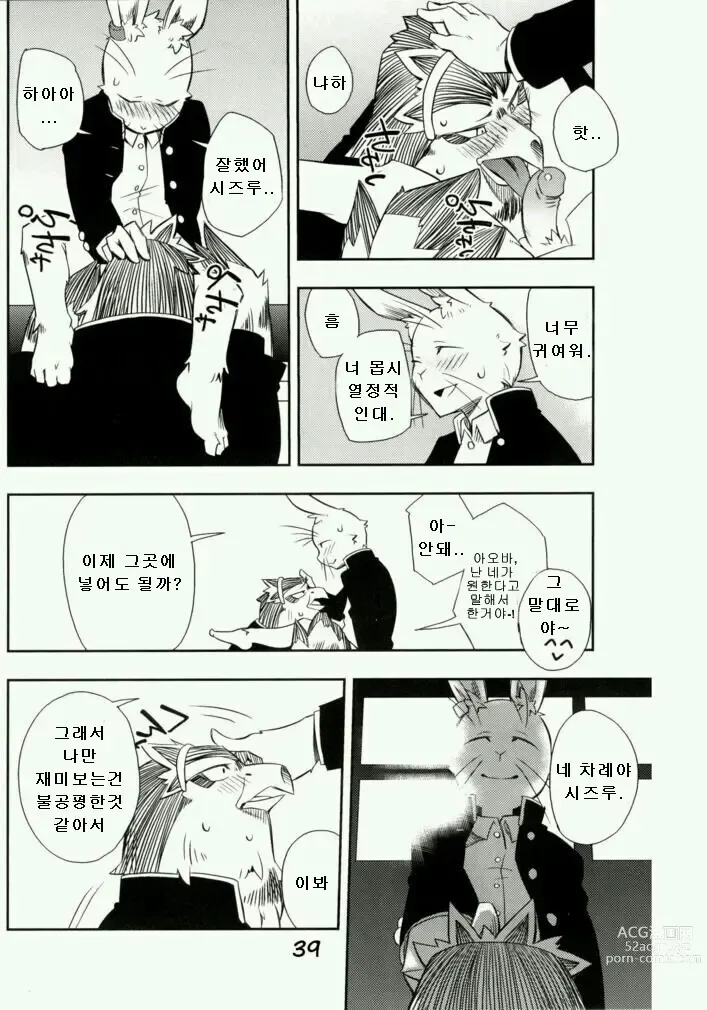 Page 37 of doujinshi Daisukirai (decensored)