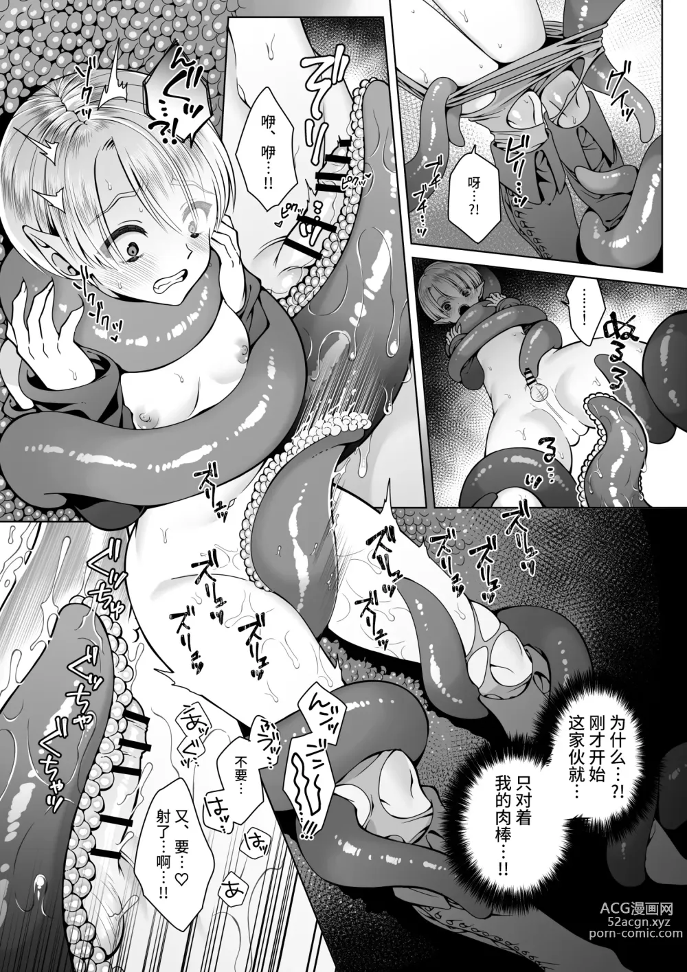 Page 18 of doujinshi Futago Elf no junan