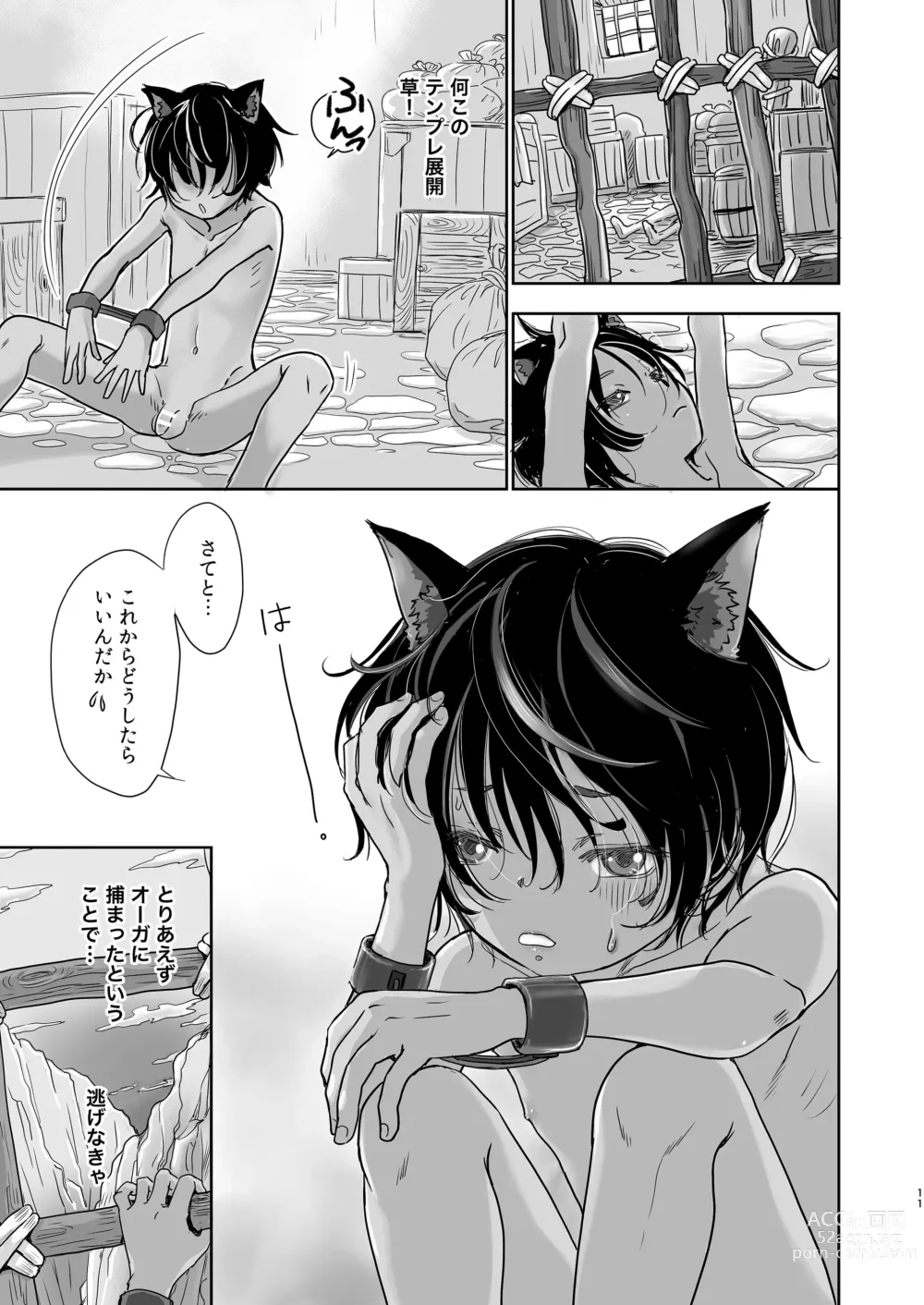 Page 11 of doujinshi Boku, Isekai de Nekomimi Seidorei to Shite Tonari no Kuni made Tabi o Shitemasu.