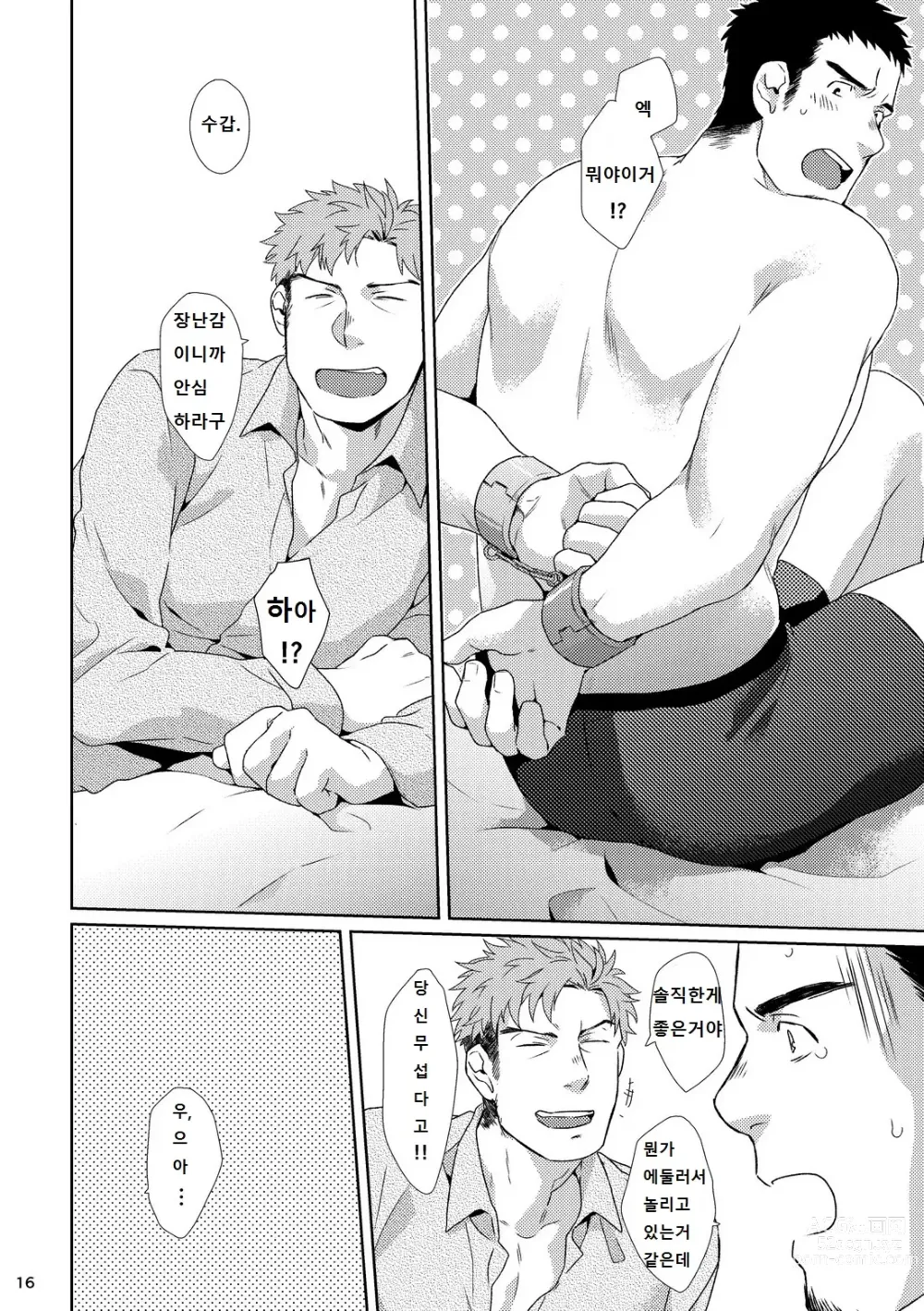 Page 15 of doujinshi YOURTOY