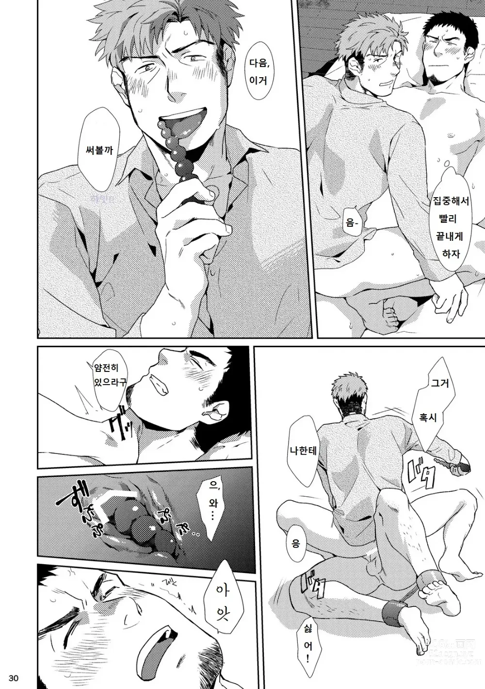 Page 29 of doujinshi YOURTOY