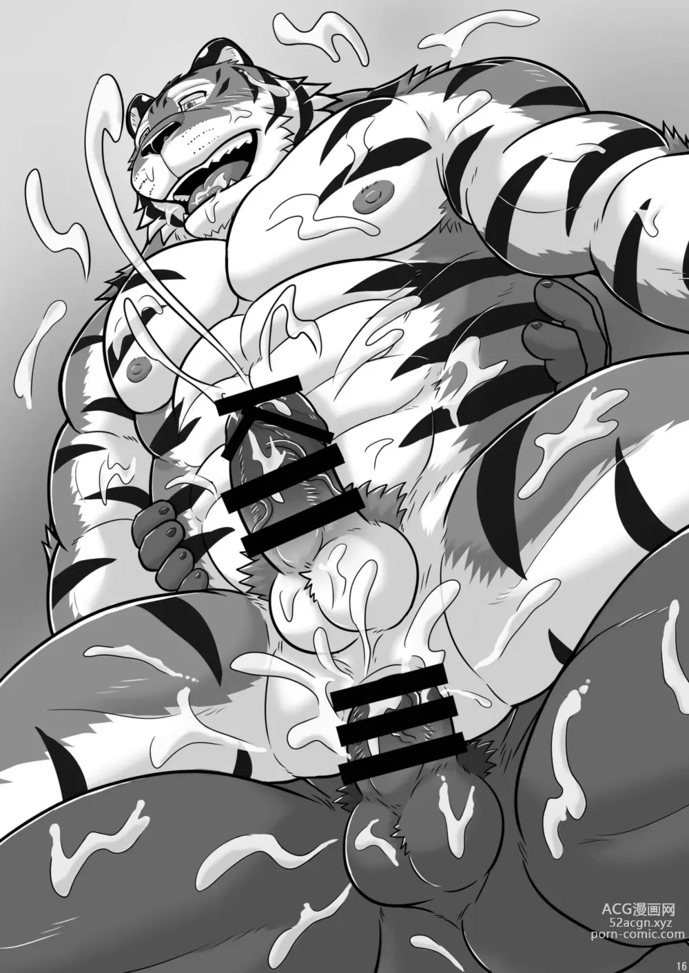 Page 15 of doujinshi TIGER