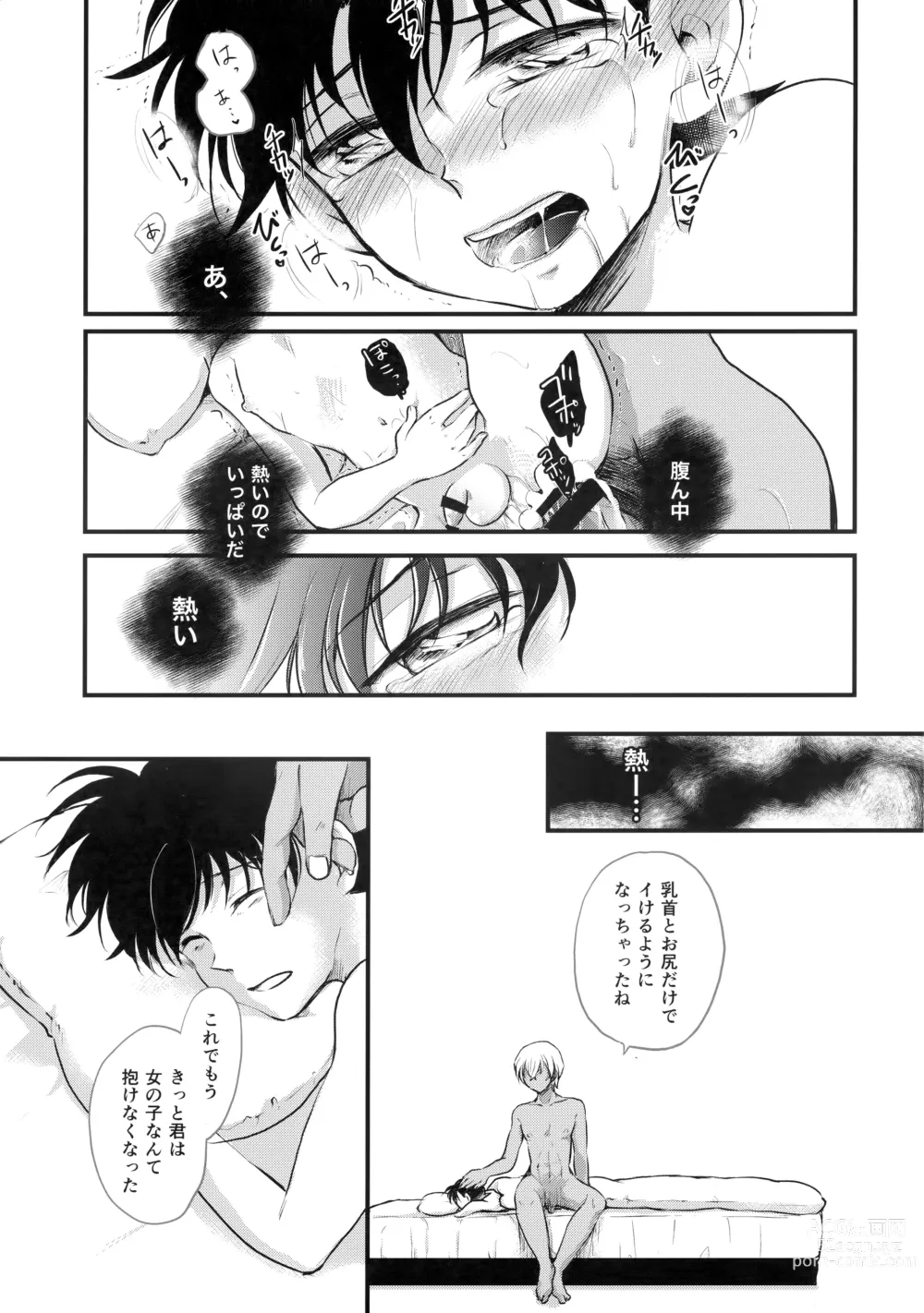 Page 26 of doujinshi Chikubi Kaihatsu Hajimemashita