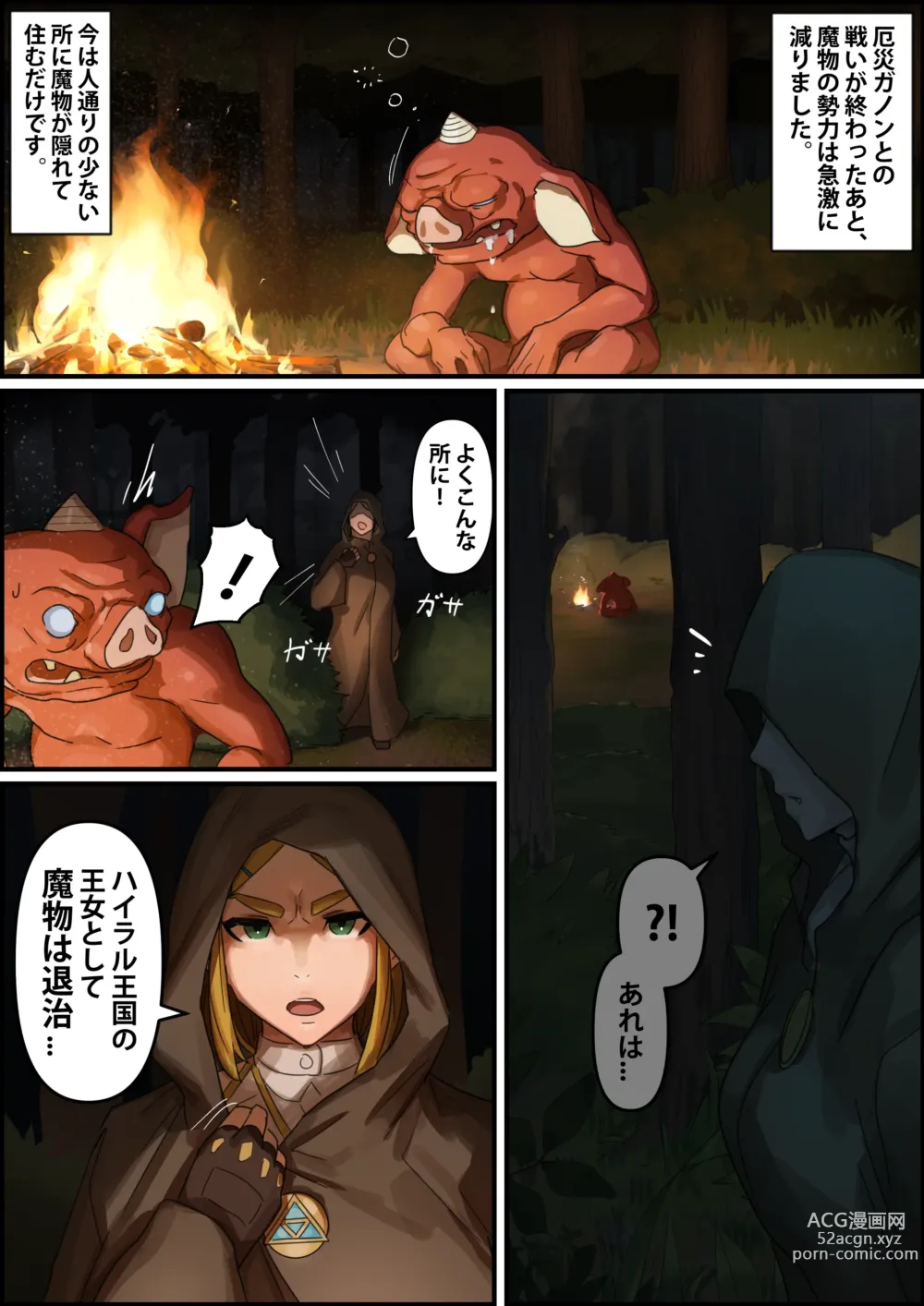 Page 2 of doujinshi Hyrule Ouke no Fukkou