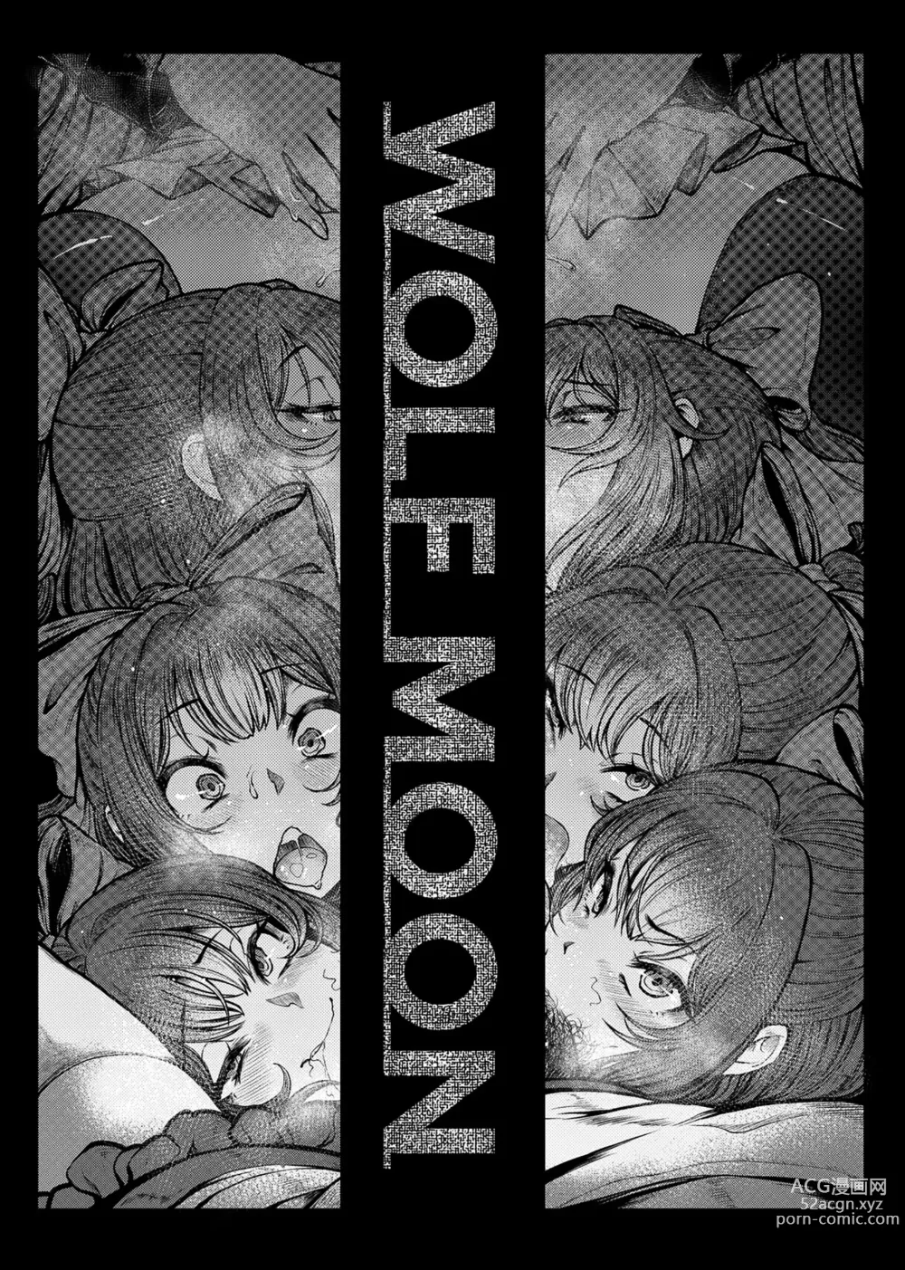 Page 3 of doujinshi WOLF MOON