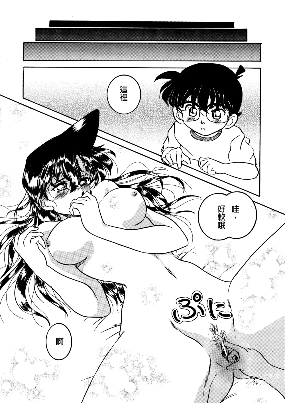Page 13 of doujinshi Beika Saga Shoutengai Sono Ichi