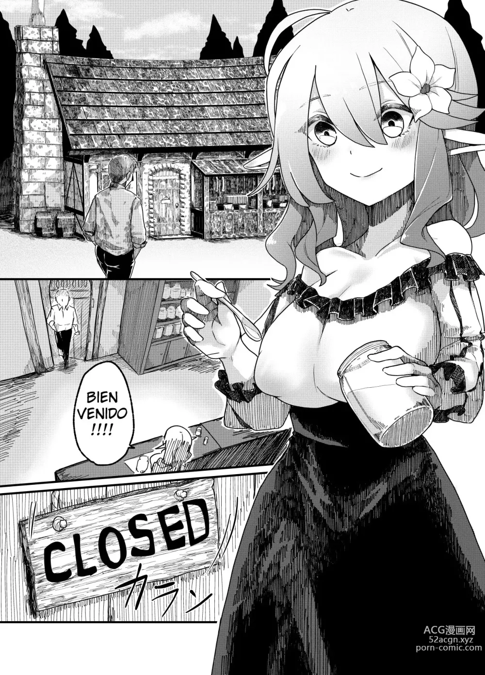 Page 2 of doujinshi A Book About Raping an Elf 2