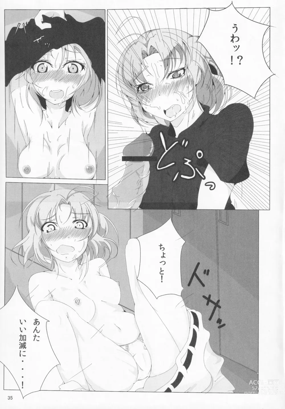 Page 36 of doujinshi Pawaplus H 2012 Fuyu