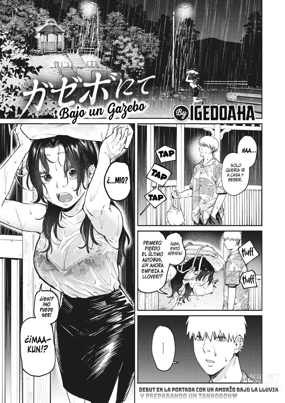 Page 2 of manga Bajo un Gazebo