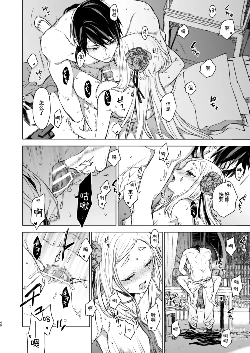 Page 40 of doujinshi 燕岚闺中顾话・后传