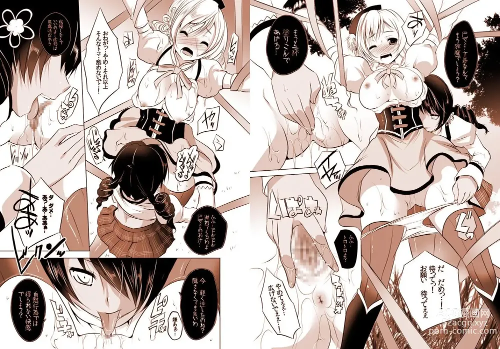 Page 10 of doujinshi 魔法少女の人生にロマンスが無いなら、純潔を守る必要も無いでしょう?