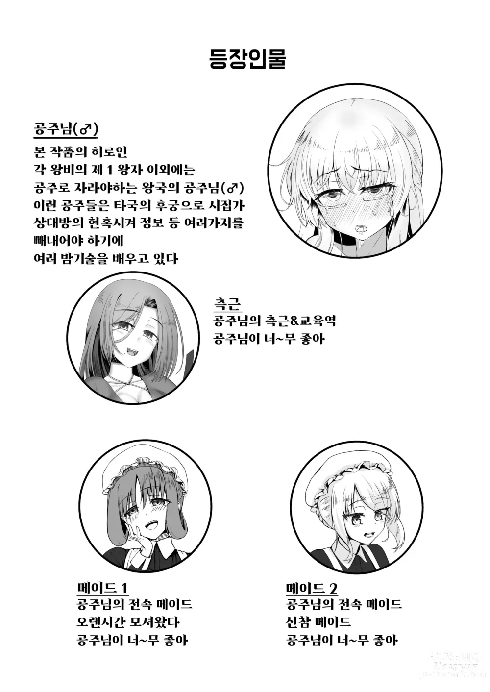 Page 3 of doujinshi 공주님♂의 왕족교육