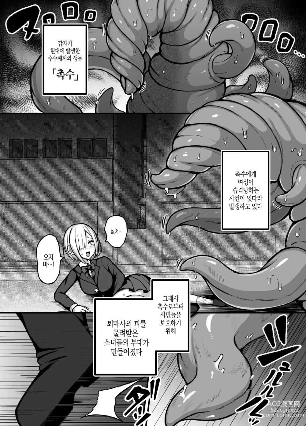 Page 5 of doujinshi 시간조작능력을 가진 퇴마사가 능력을 유전받은 촉수를 출산하는 이야기