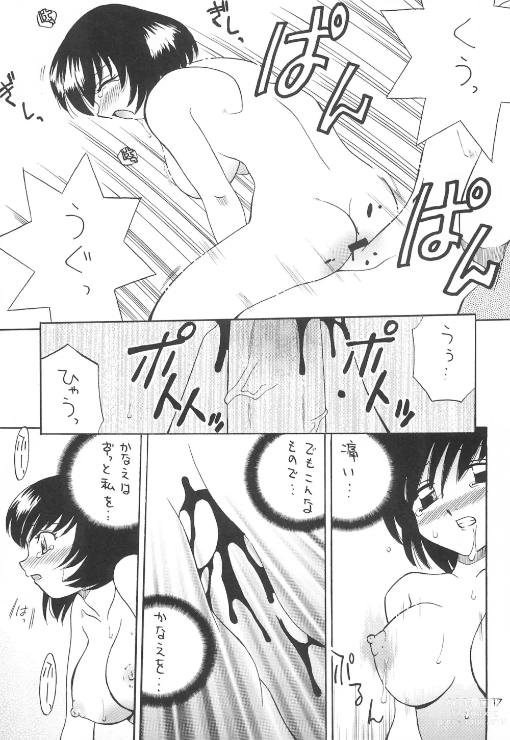 Page 19 of doujinshi Ishindenshin