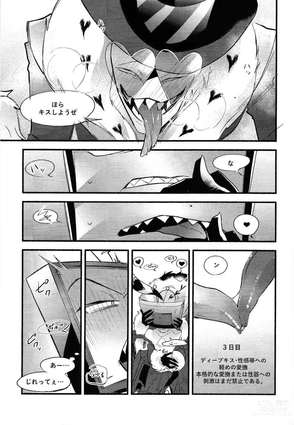 Page 14 of doujinshi Sempre Con Te