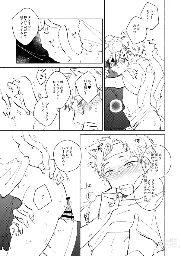 Page 20 of doujinshi nyan nyan