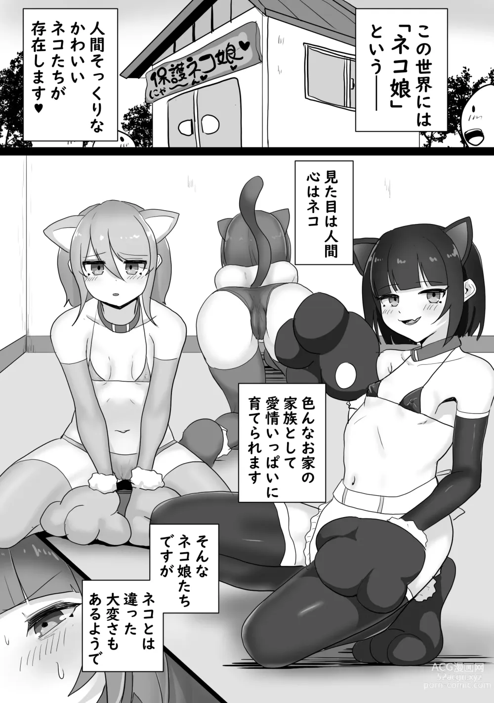 Page 2 of doujinshi Iyagaru Neko Musume ni Omata Massage o Nechinechi Yari Tsuzukeru Hanashi