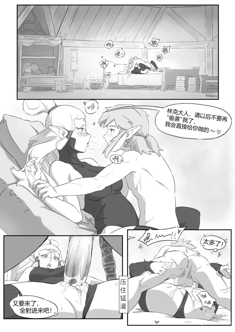 Page 19 of doujinshi 海拉鲁欲望传说