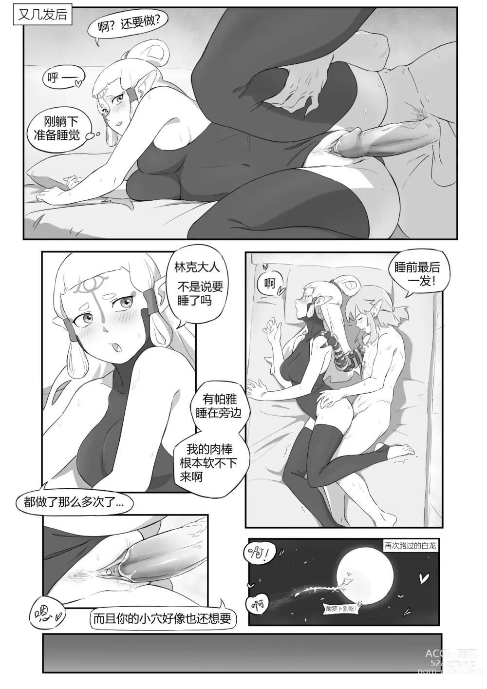 Page 21 of doujinshi 海拉鲁欲望传说