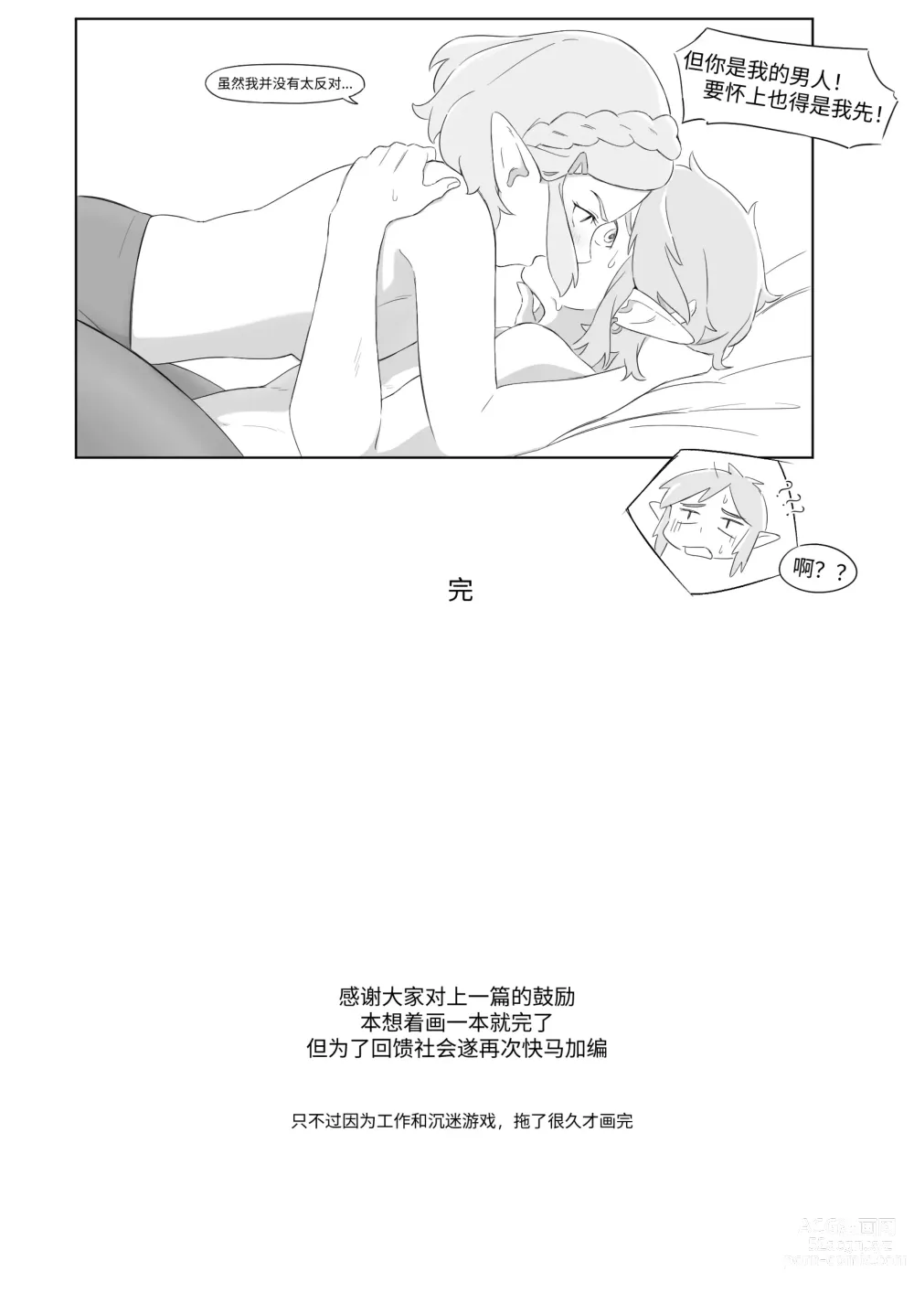 Page 43 of doujinshi 海拉鲁欲望传说