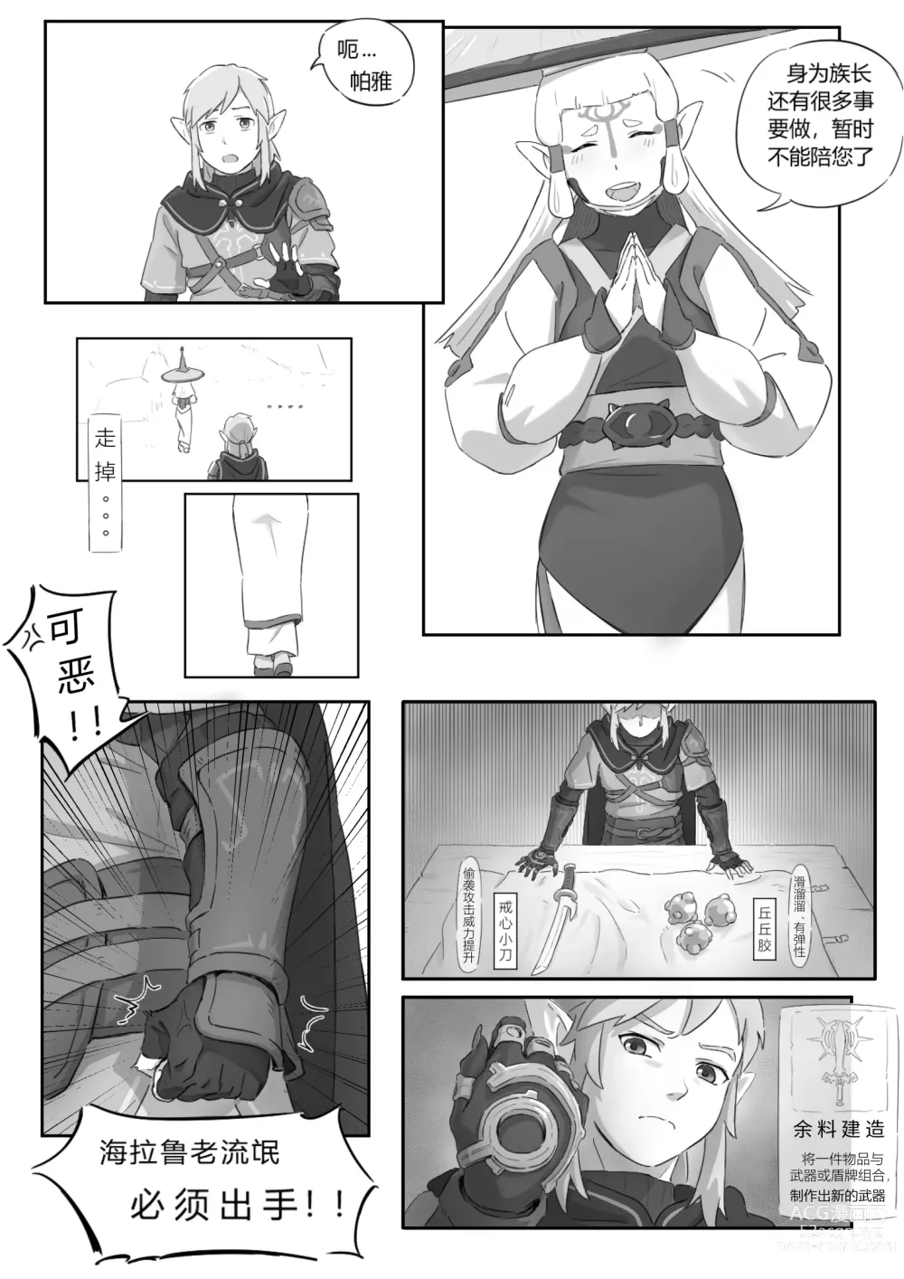 Page 6 of doujinshi 海拉鲁欲望传说