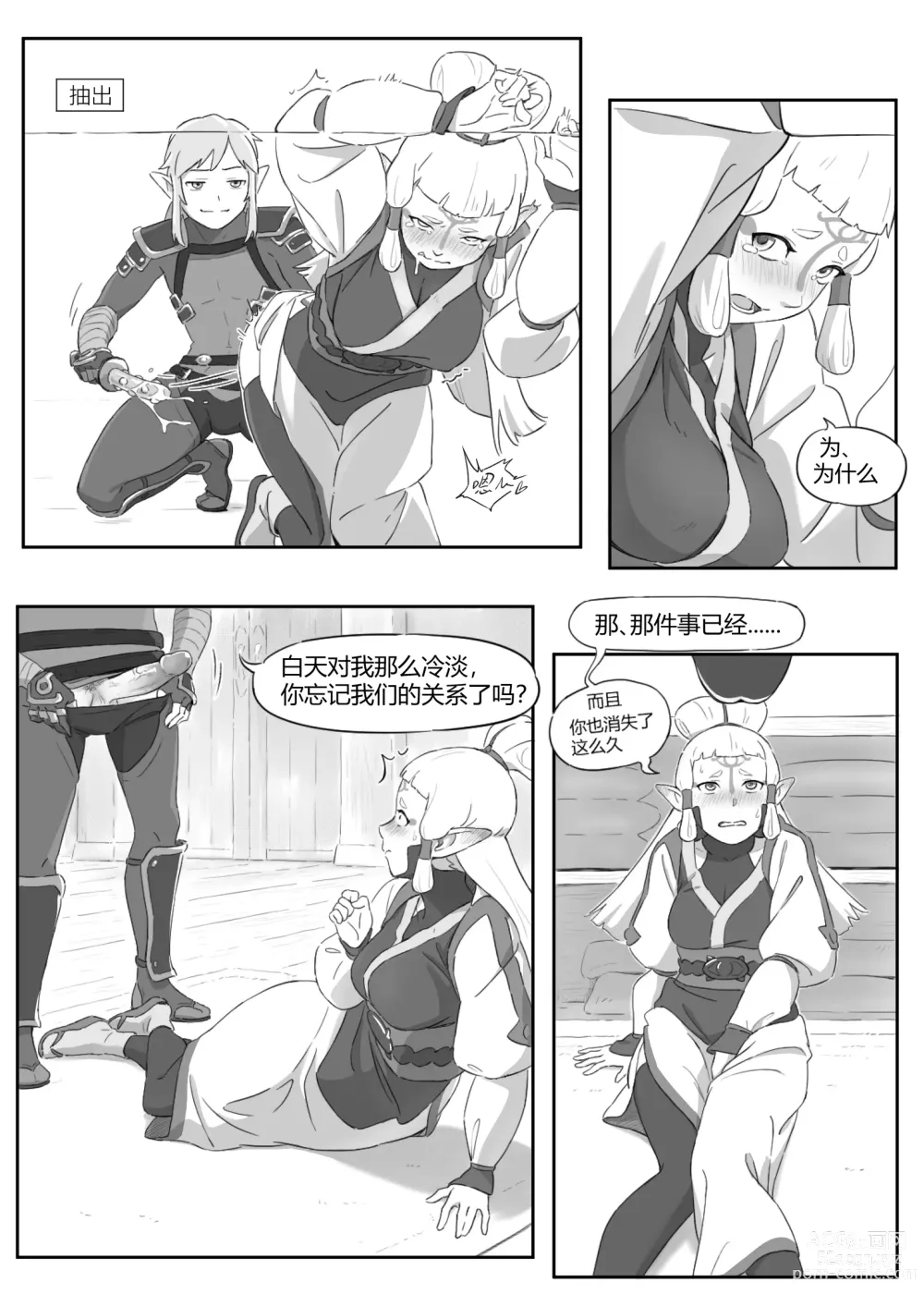 Page 10 of doujinshi 海拉鲁欲望传说