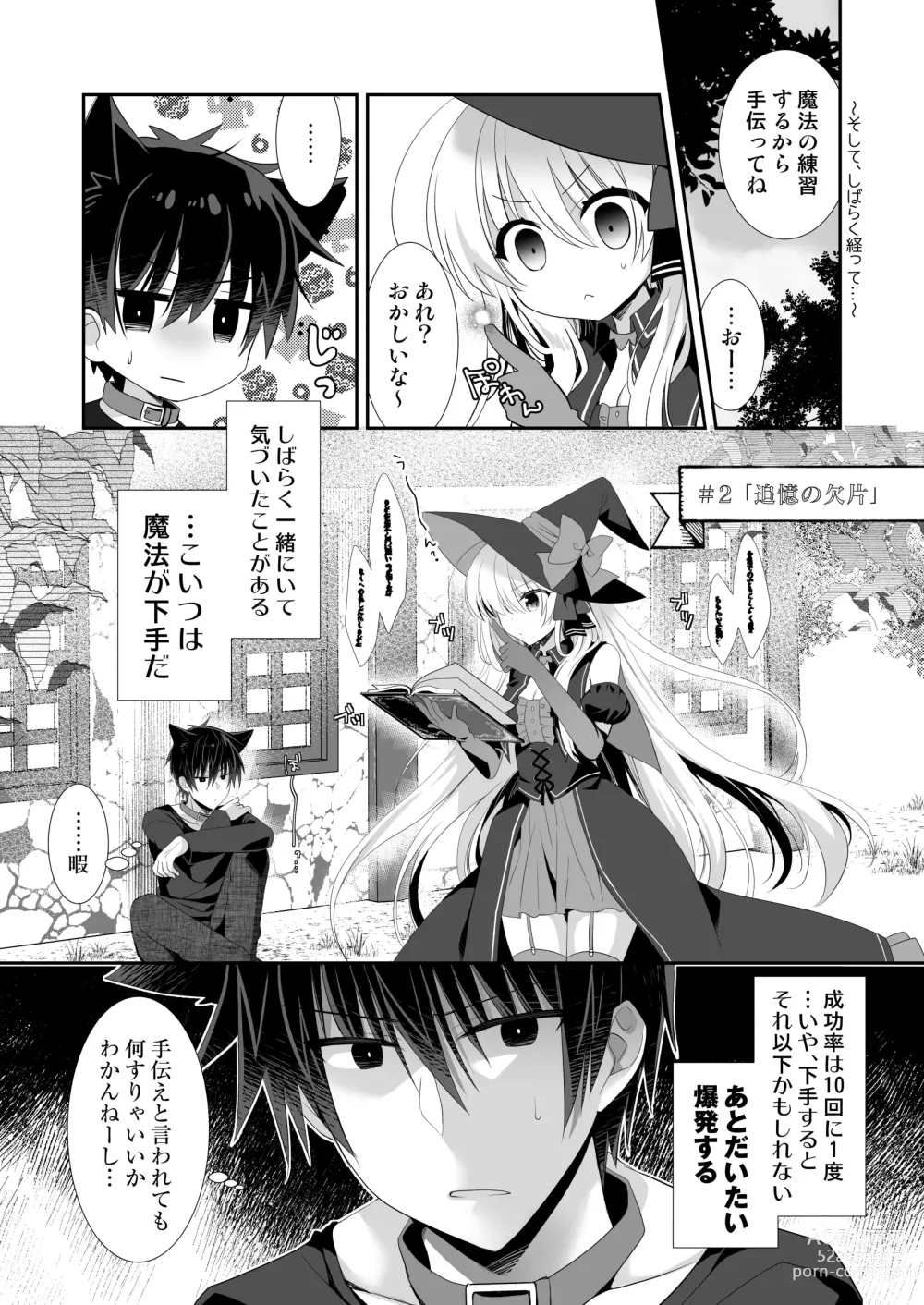 Page 17 of doujinshi Ponkotsu Majo to Ijiwaru na Neko. -Shoukan Shita Tsukaima ga Iu Koto o Kiite Kuremasen!-