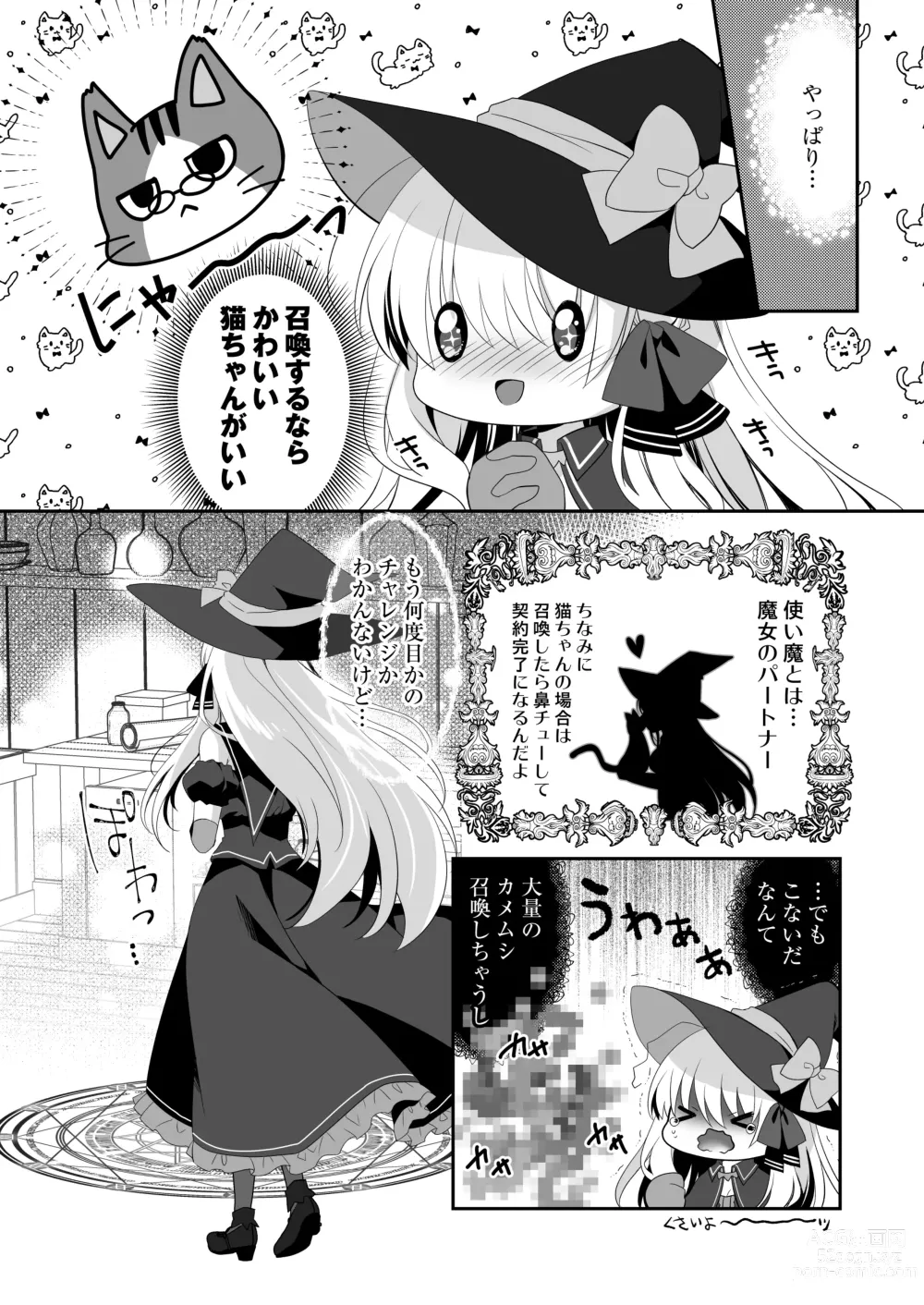 Page 3 of doujinshi Ponkotsu Majo to Ijiwaru na Neko. -Shoukan Shita Tsukaima ga Iu Koto o Kiite Kuremasen!-