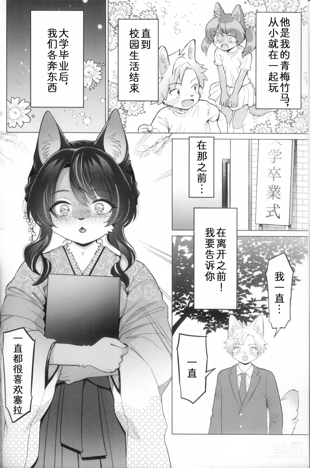 Page 3 of doujinshi 毛羽未丰