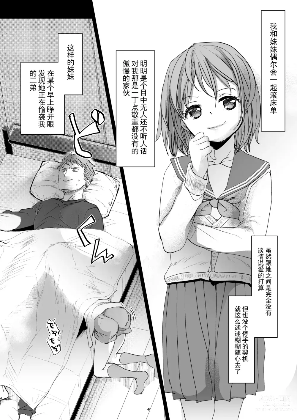 Page 3 of doujinshi Watashi to Ani no Nichijou 6