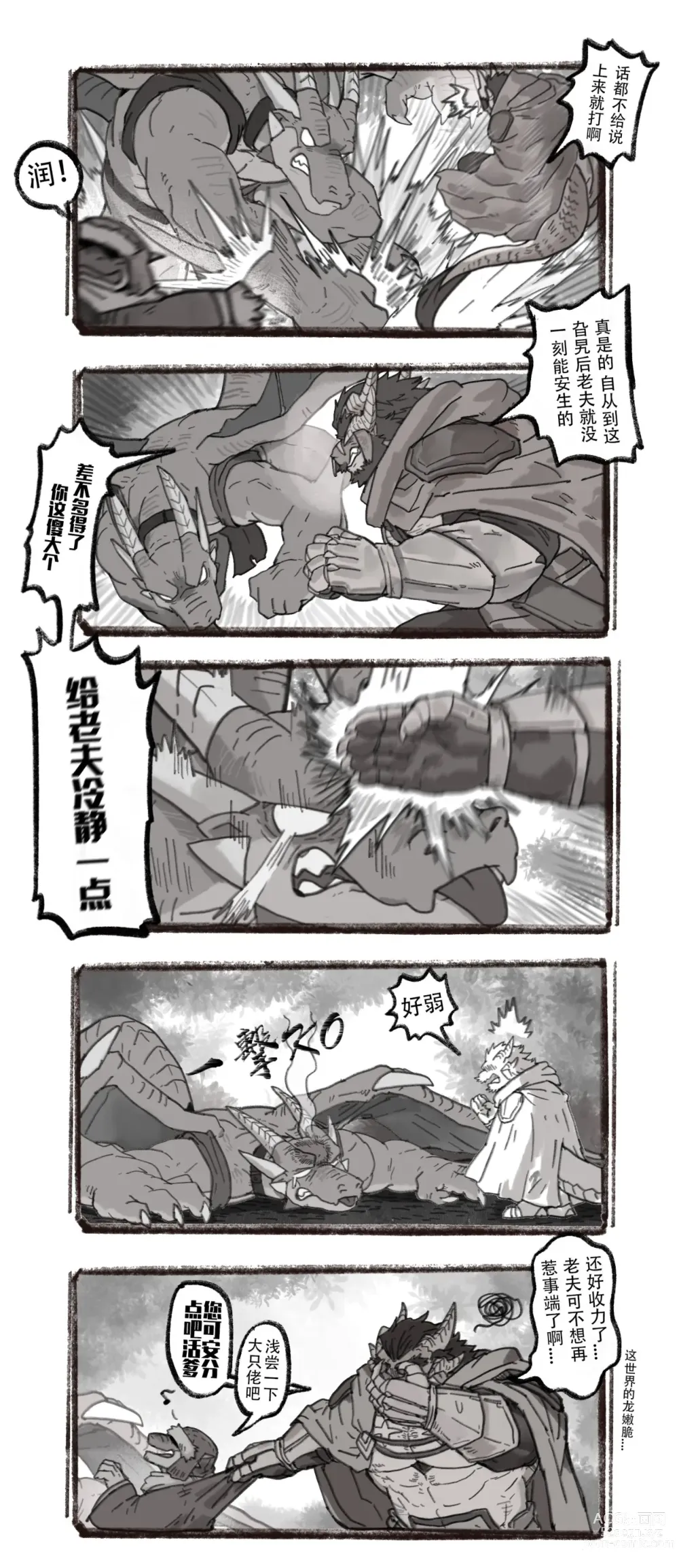 Page 8 of doujinshi 龙骑士和龙法师