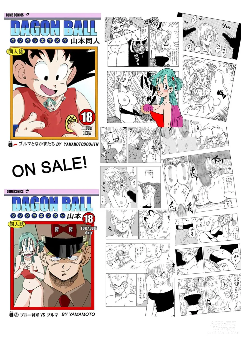 Page 17 of doujinshi Dagonball - Oolonga Engana a Bulma