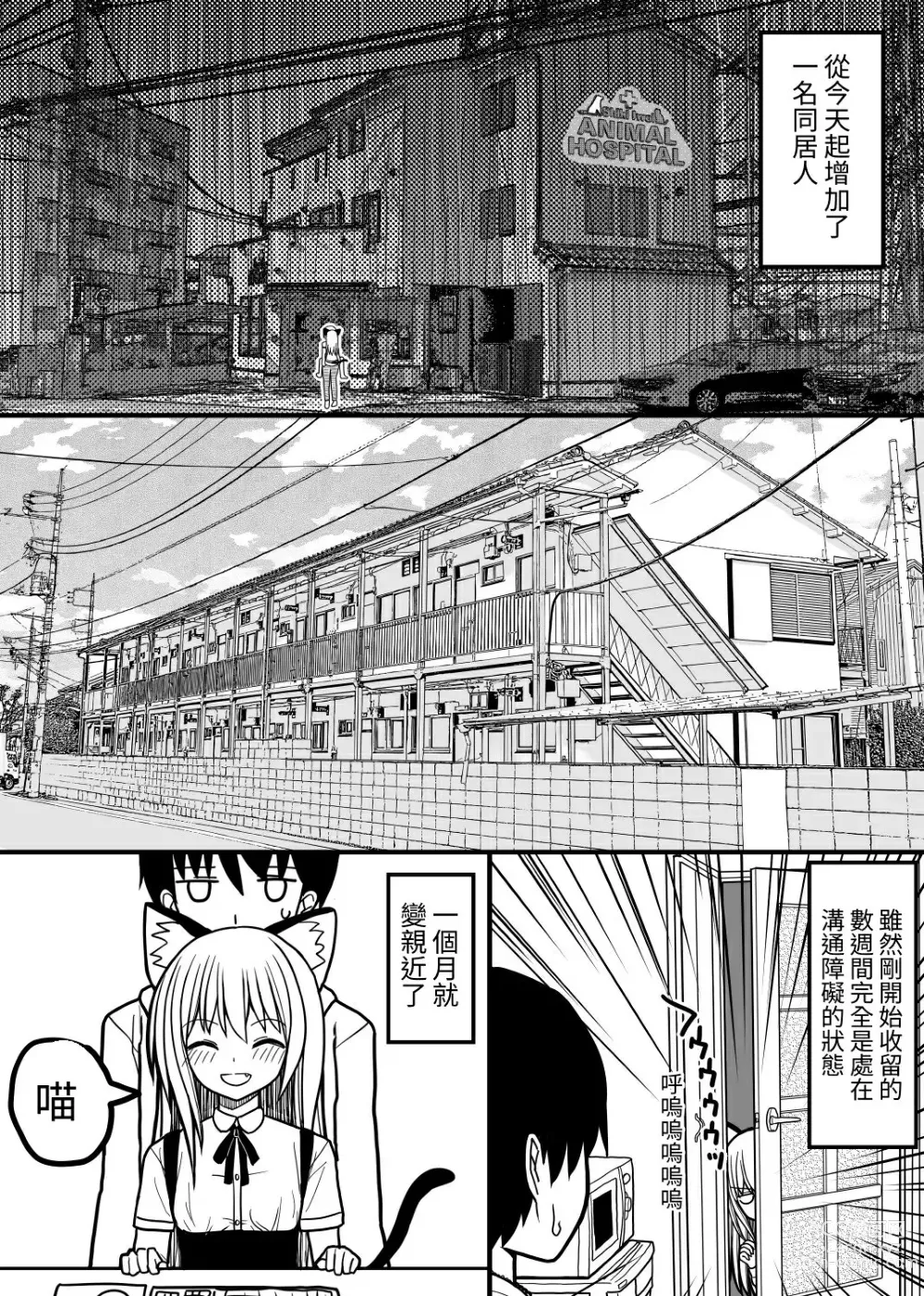 Page 4 of doujinshi Hito neko no kaikata ～Hatsujo-ki-hen～